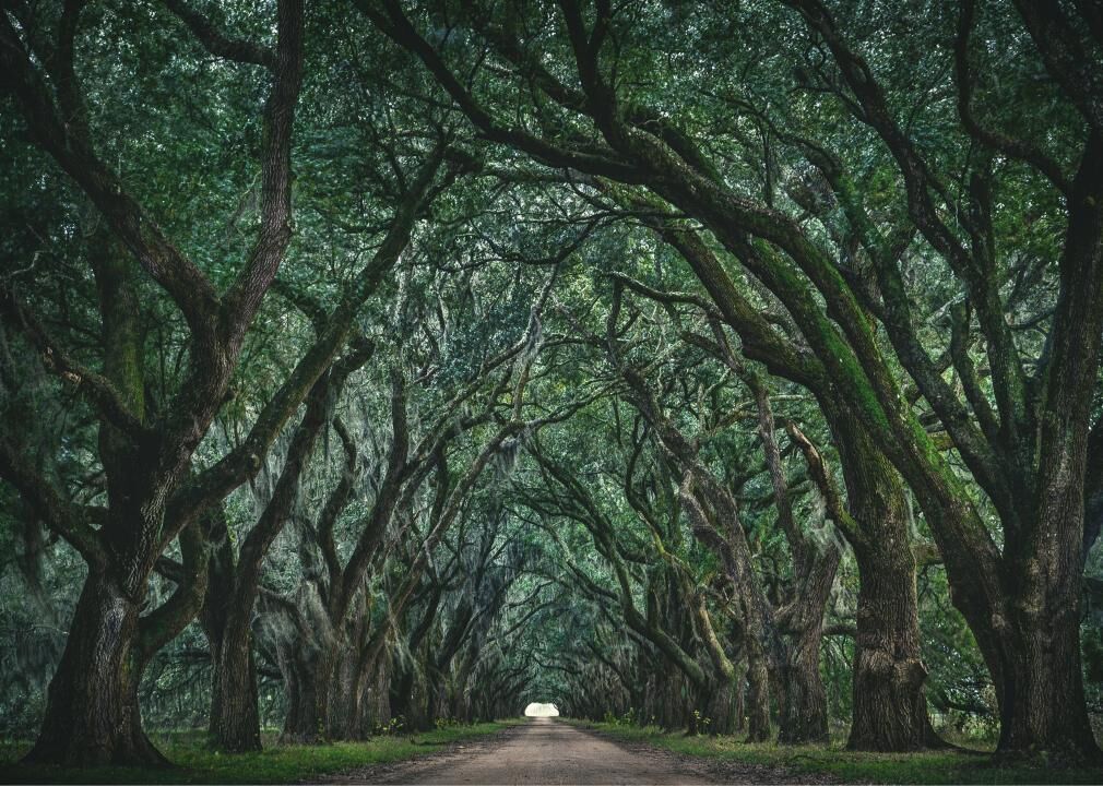 Louisiana